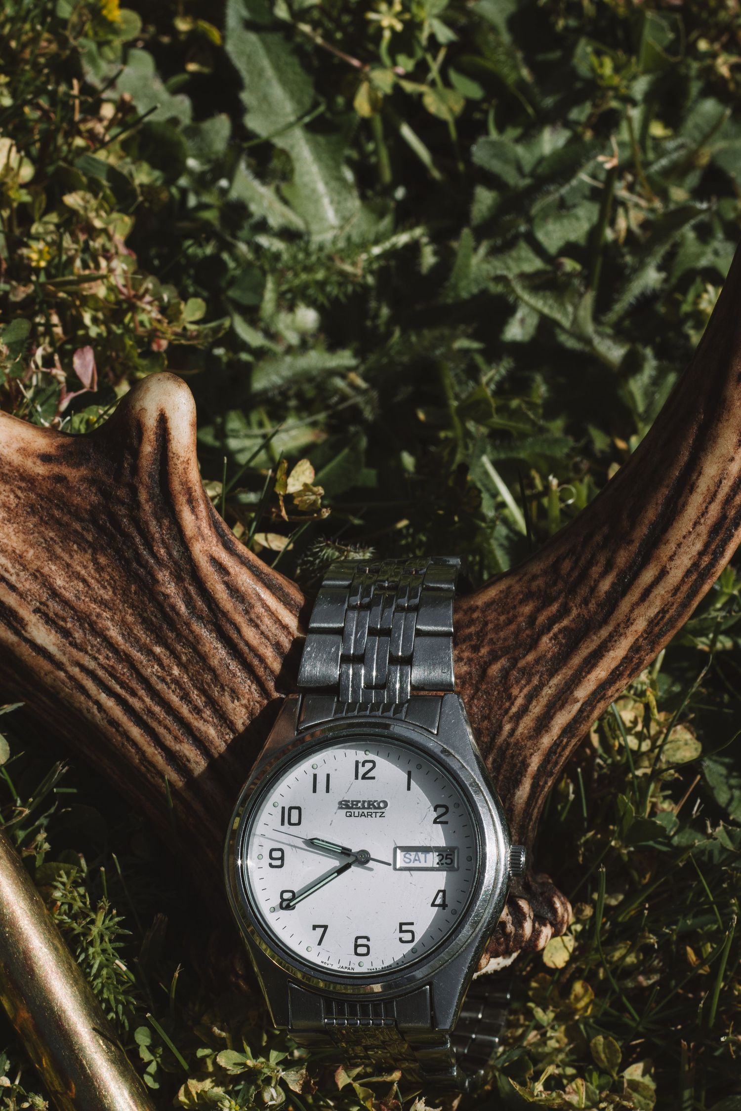 Classic silver wristwatch with white dial displayed against antlers and foliage.