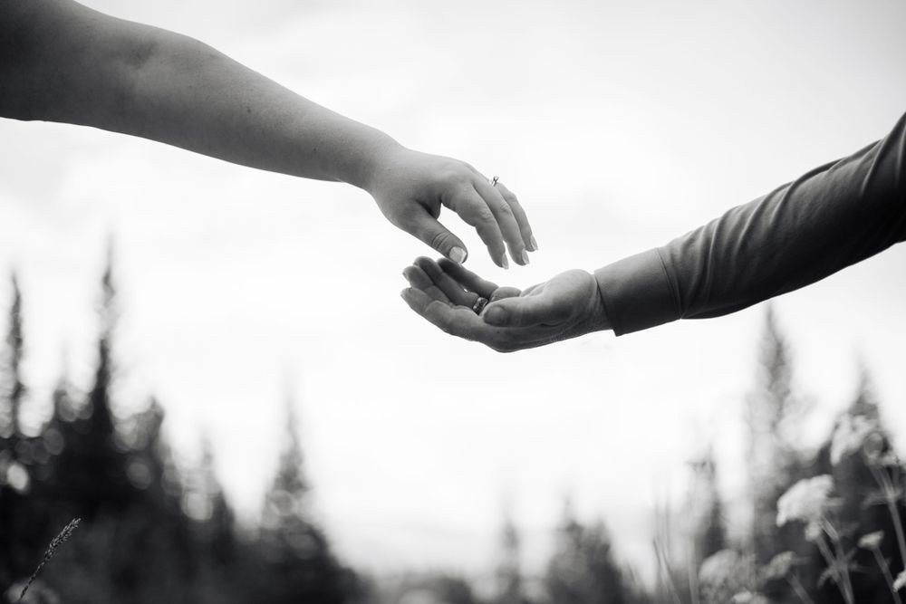 Two hands reaching towards each other against a silhouetted forest backdrop.