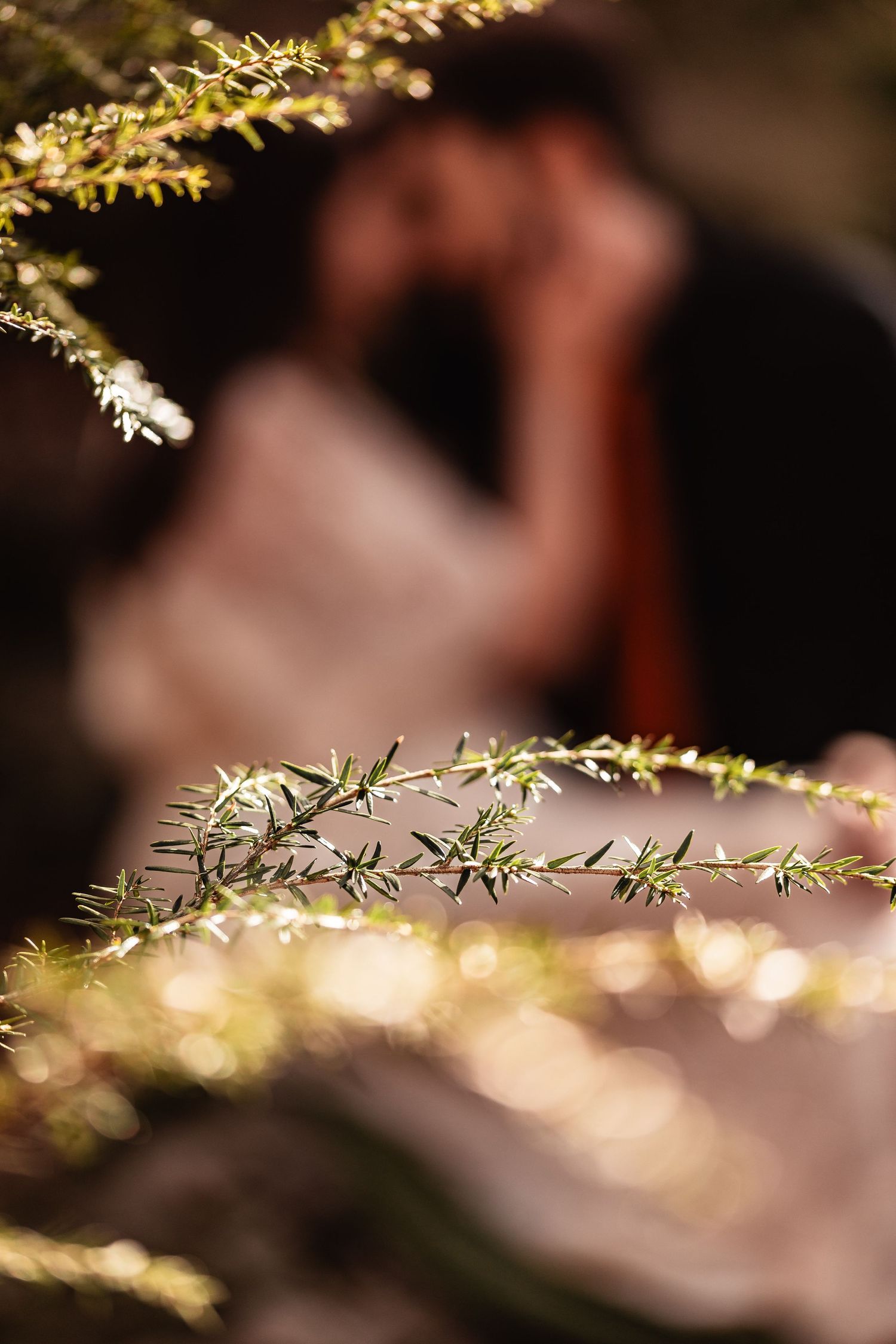 WV engagement session at Coopers Rock State Park