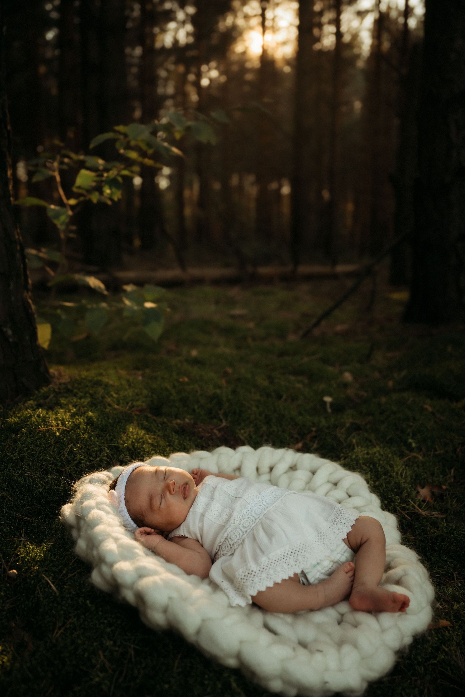Sleeping baby nestled in chunky knit blanket during sunset forest photoshoot.