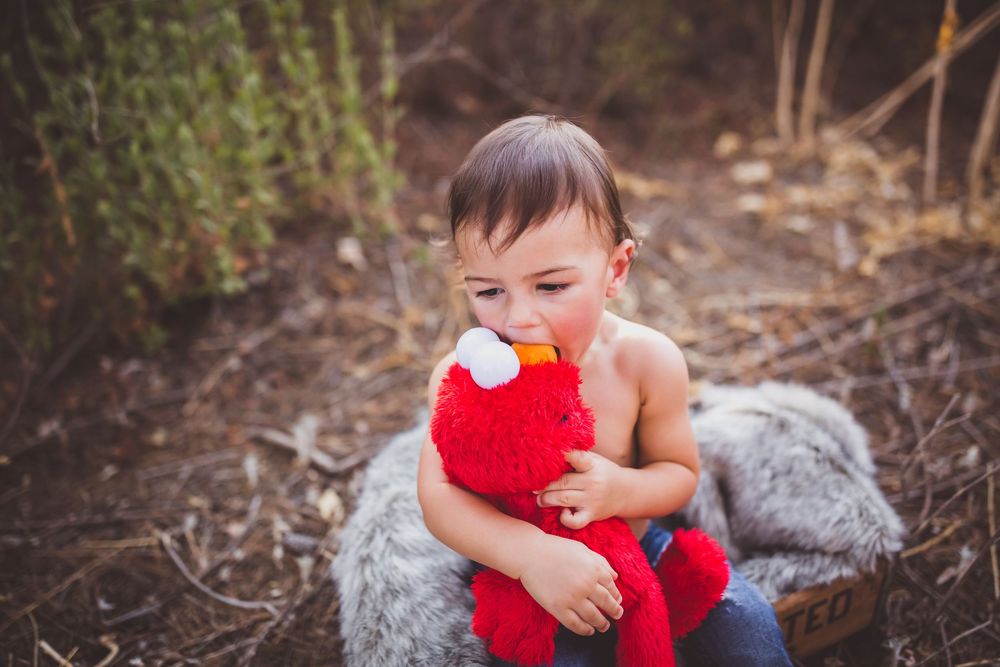 Small child in red dress sits on ground surrounded by natural outdoor setting during photo session.