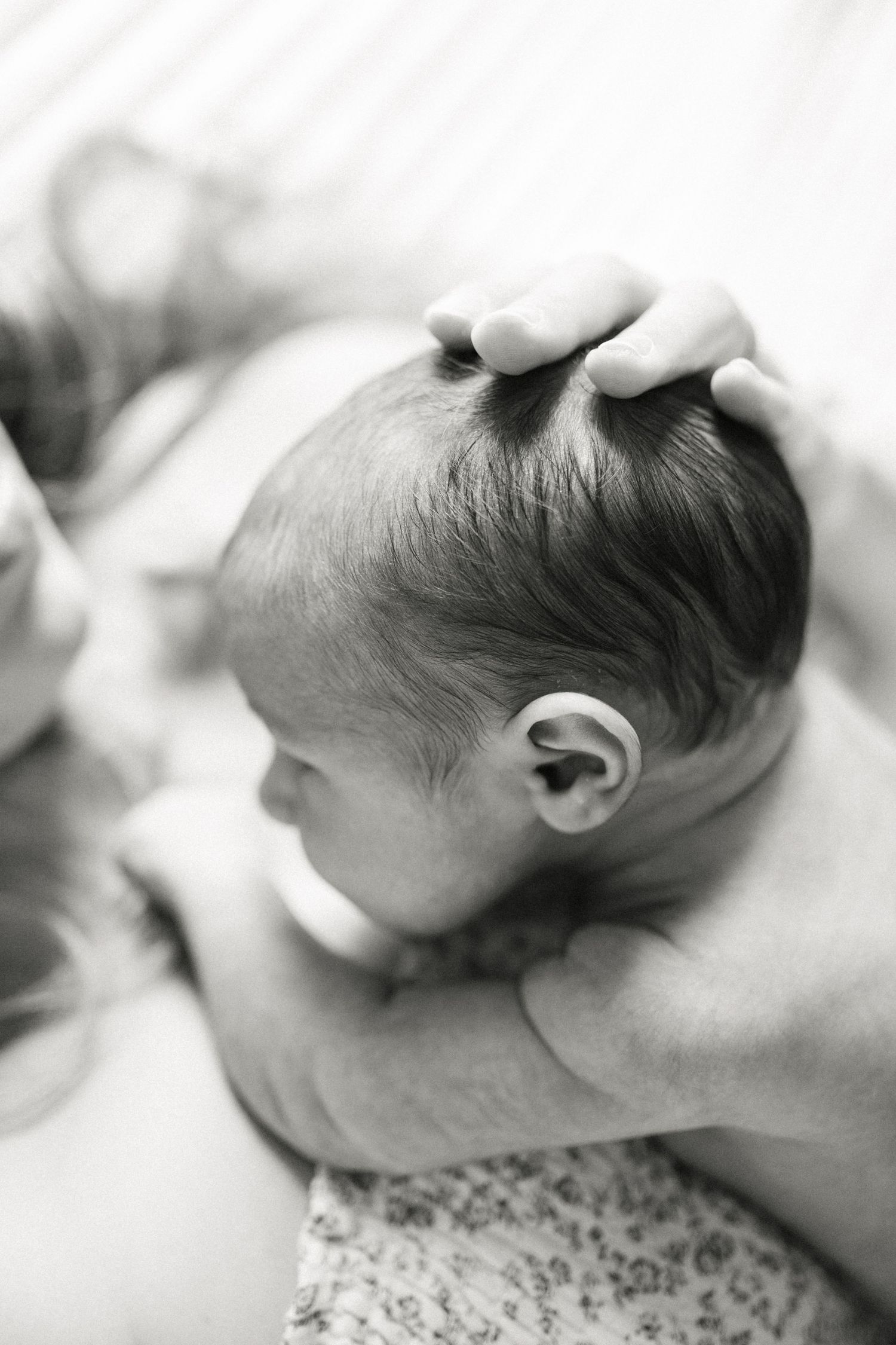 Close-up black and white image of a newborn baby's head and ear being gently cradled.