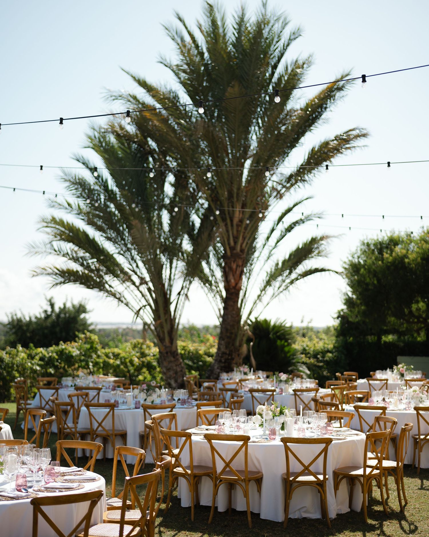 Elegant outdoor reception setup with palm trees and white table settings for a tropical wedding celebration.