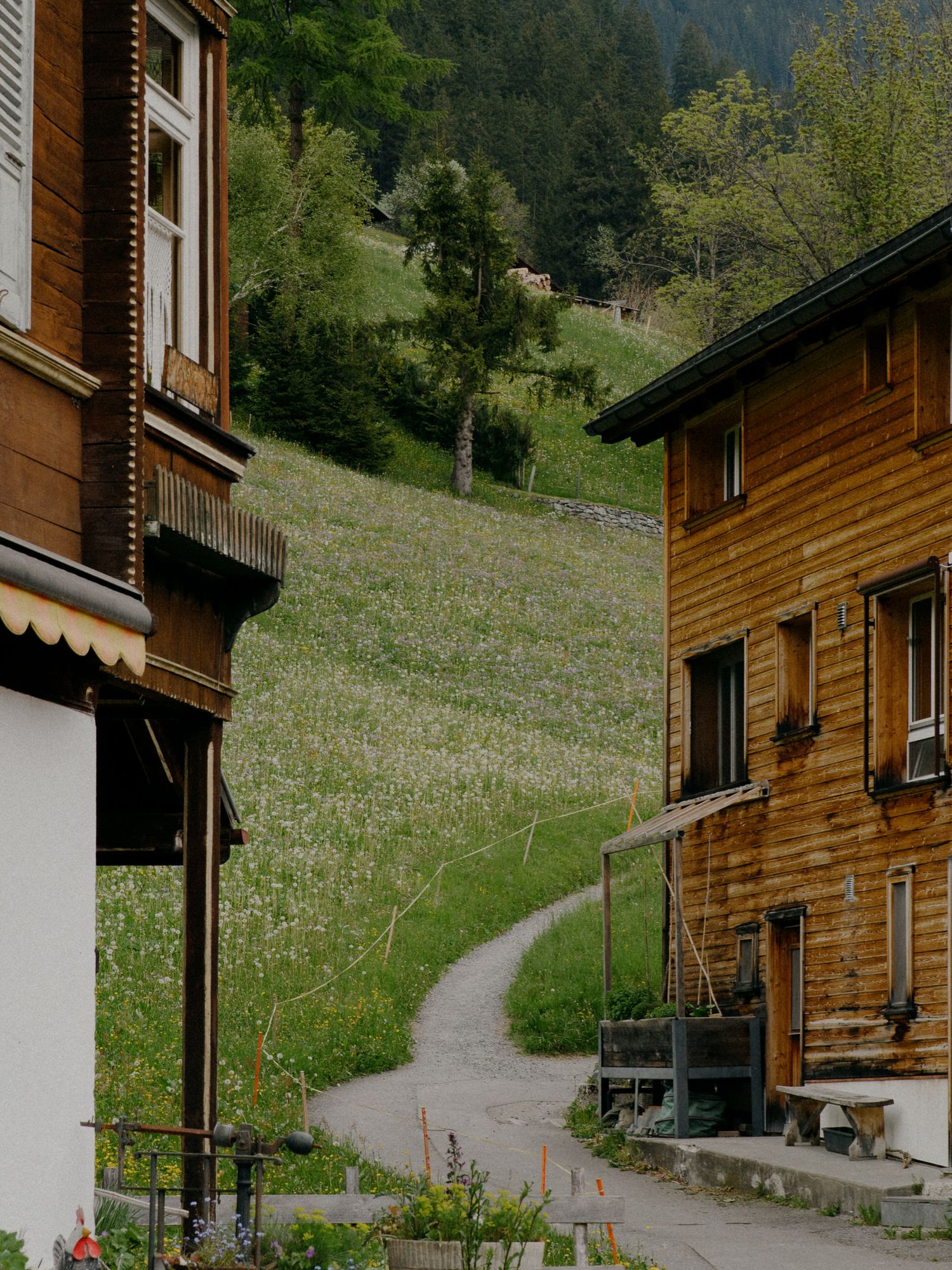 Winding path between traditional wooden alpine houses leads up a green hillside in a mountainous Swiss village.