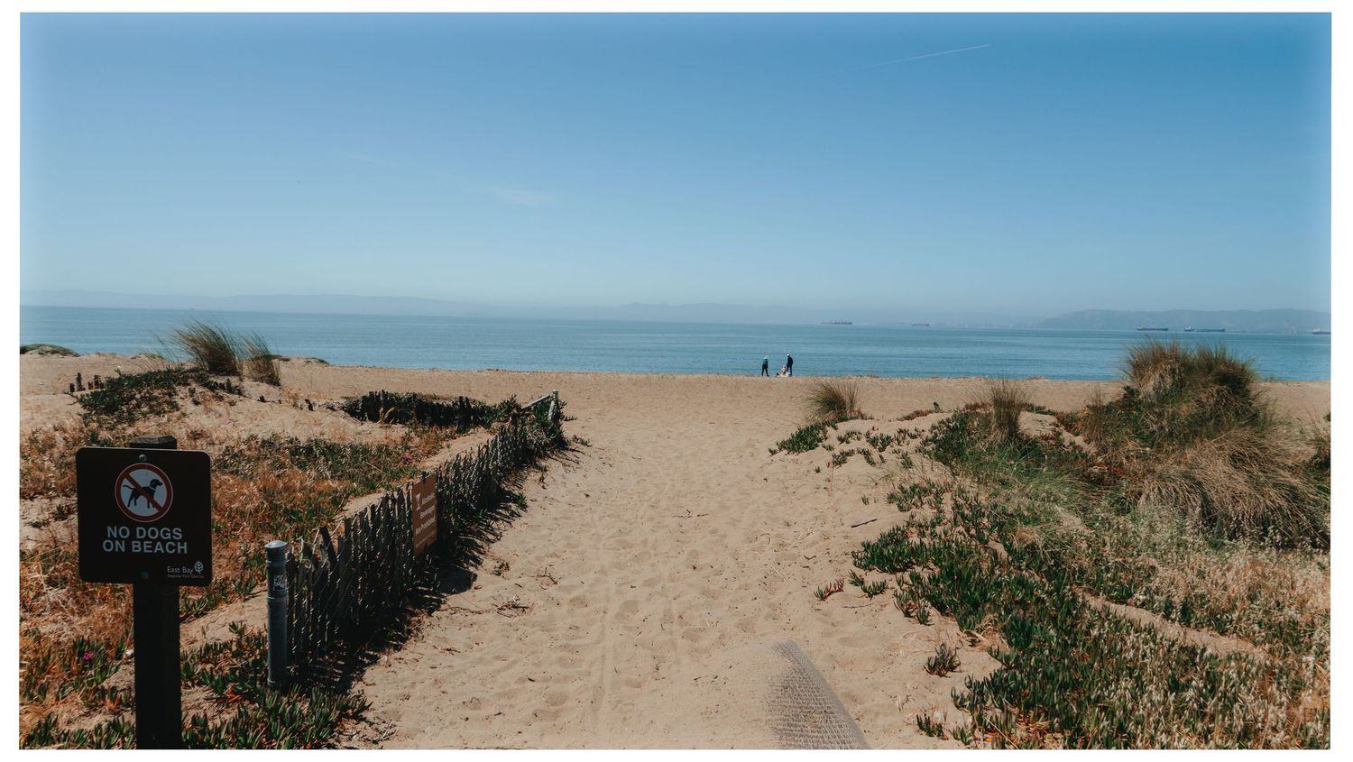 A sandy path lined with wooden fences leads to a serene beach view with distant ocean horizon on a clear day.