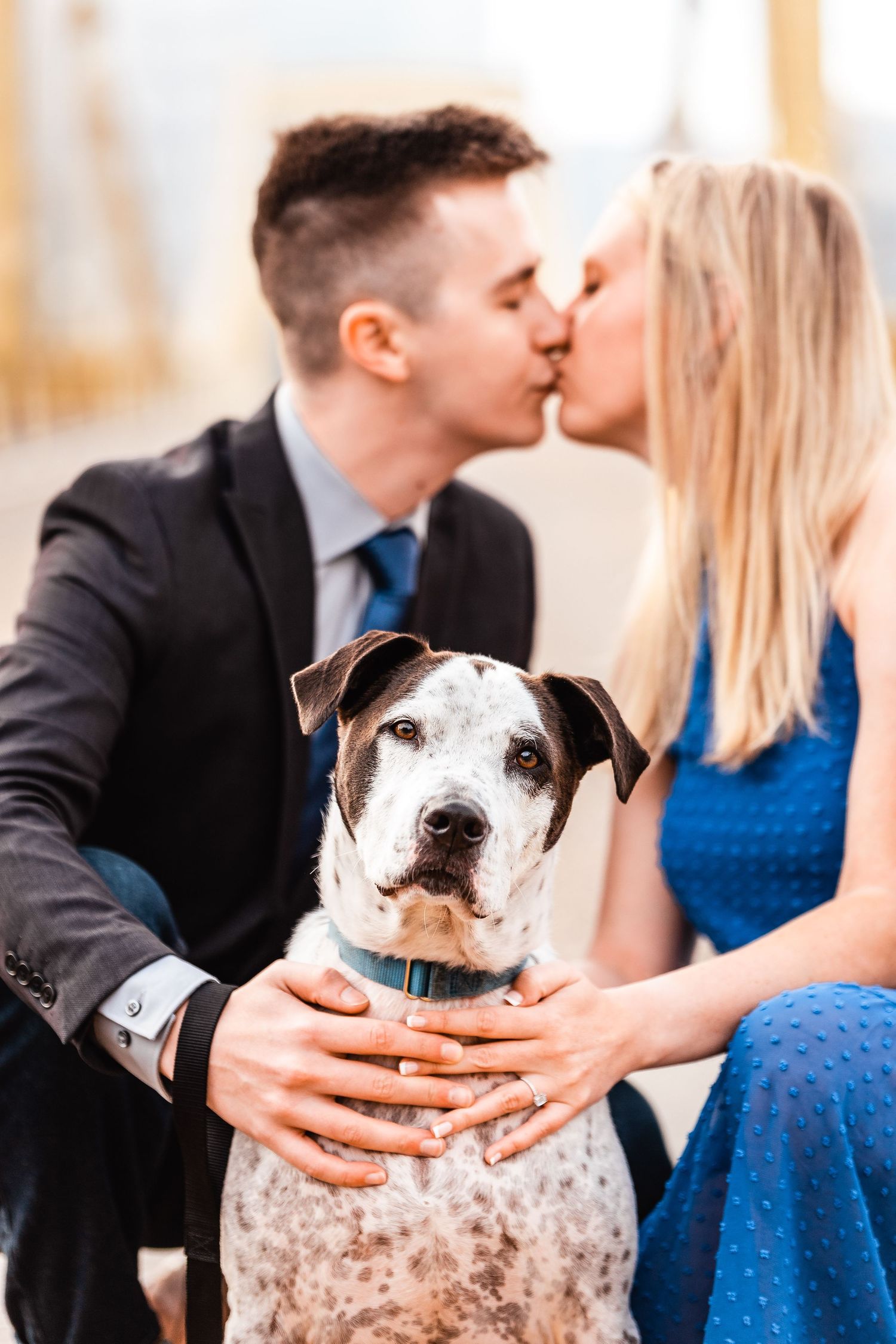 A black and white spotted pointer dog sits between two people sharing an intimate moment in formal attire.