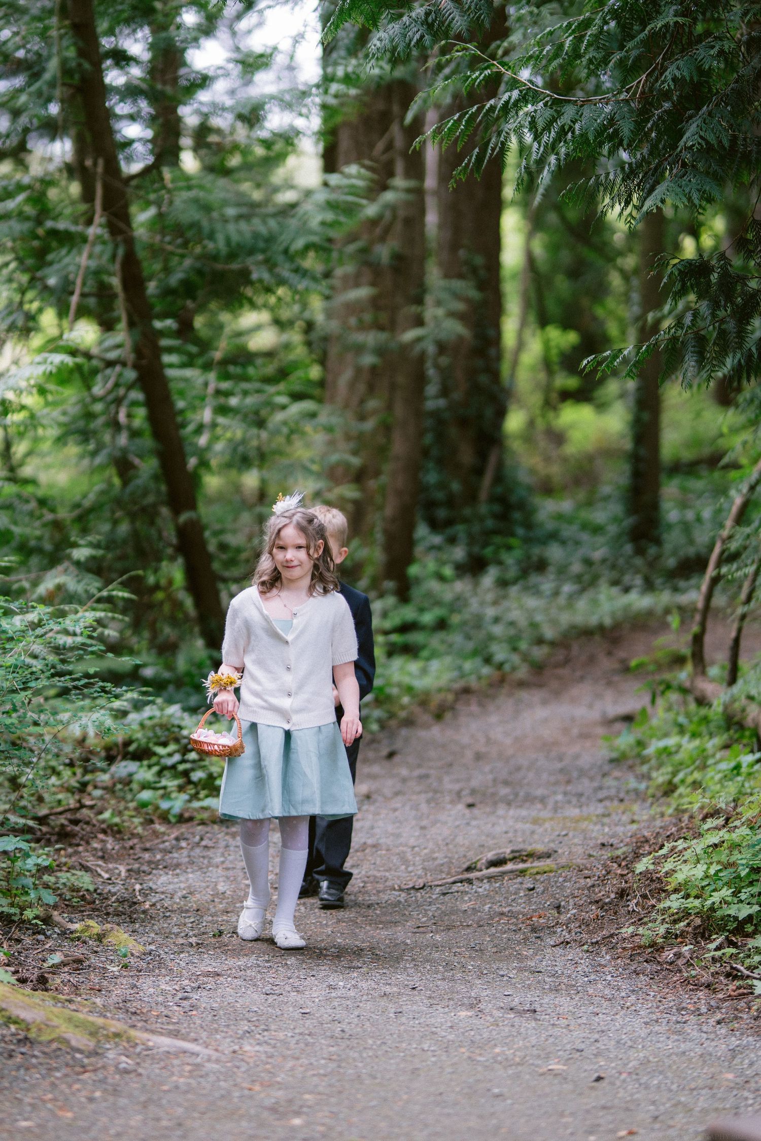 A small figure walks along a serene forest path surrounded by lush evergreen trees and ferns on a summer day.
