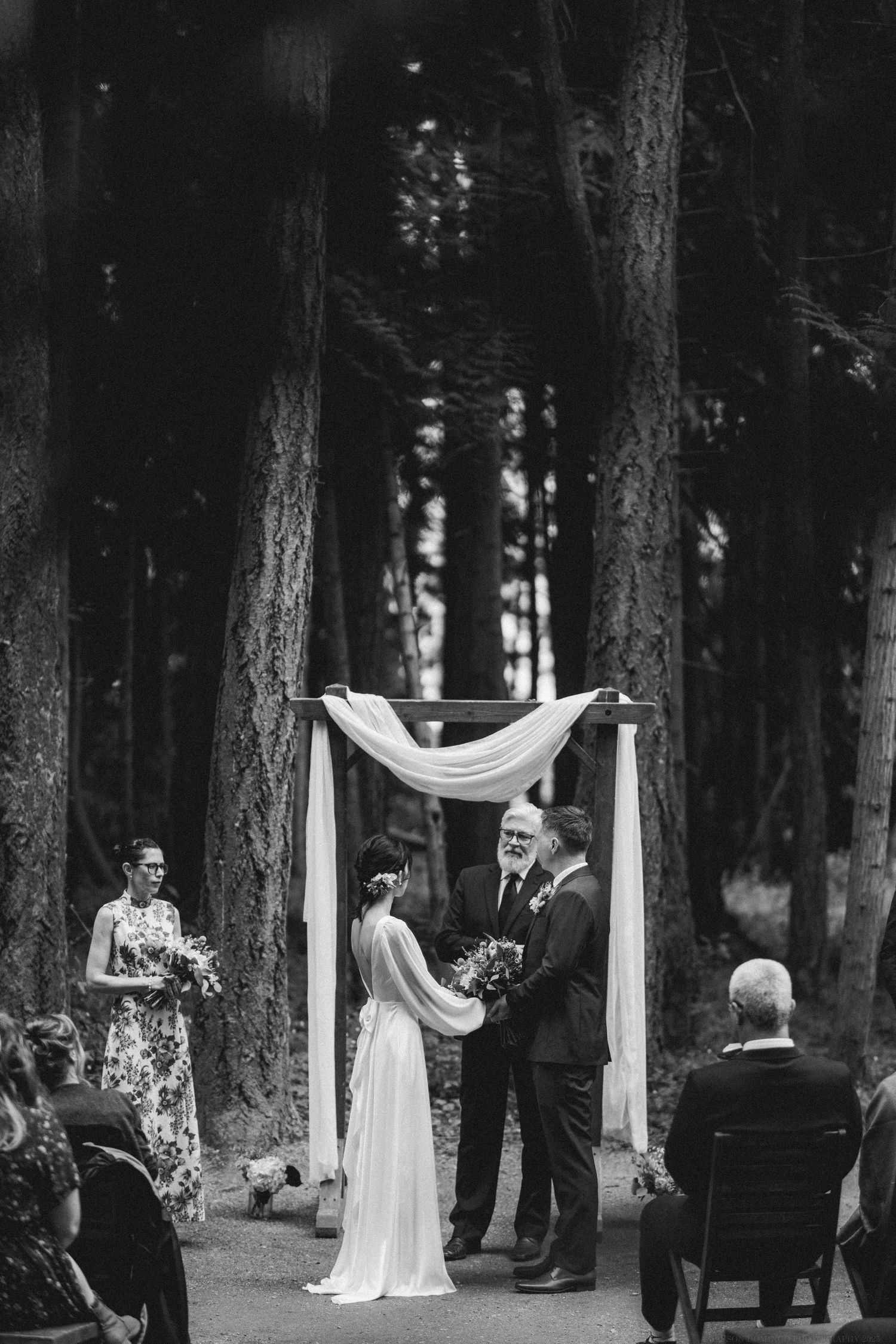 Black and white forest wedding ceremony with draped fabric arch and guests seated on wooden chairs.