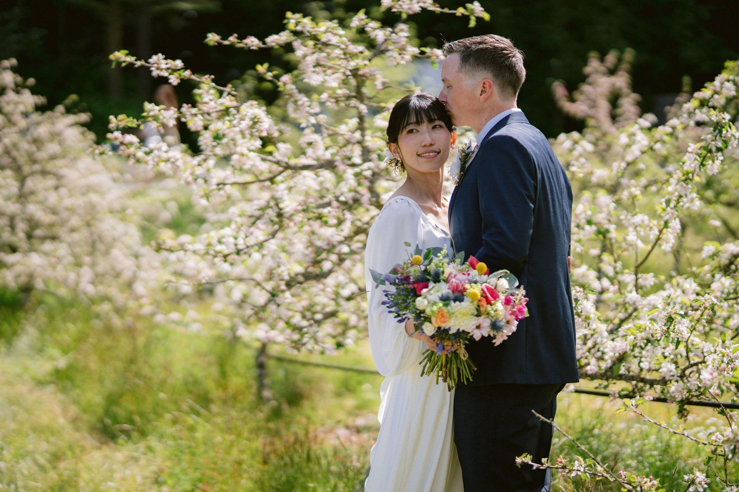 A romantic wedding couple embraces among blooming cherry blossom trees on their special spring day.