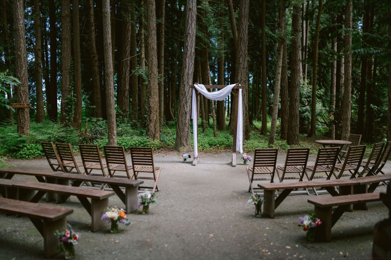 Forest wedding ceremony setup with wooden benches and white fabric arch surrounded by tall evergreen trees.