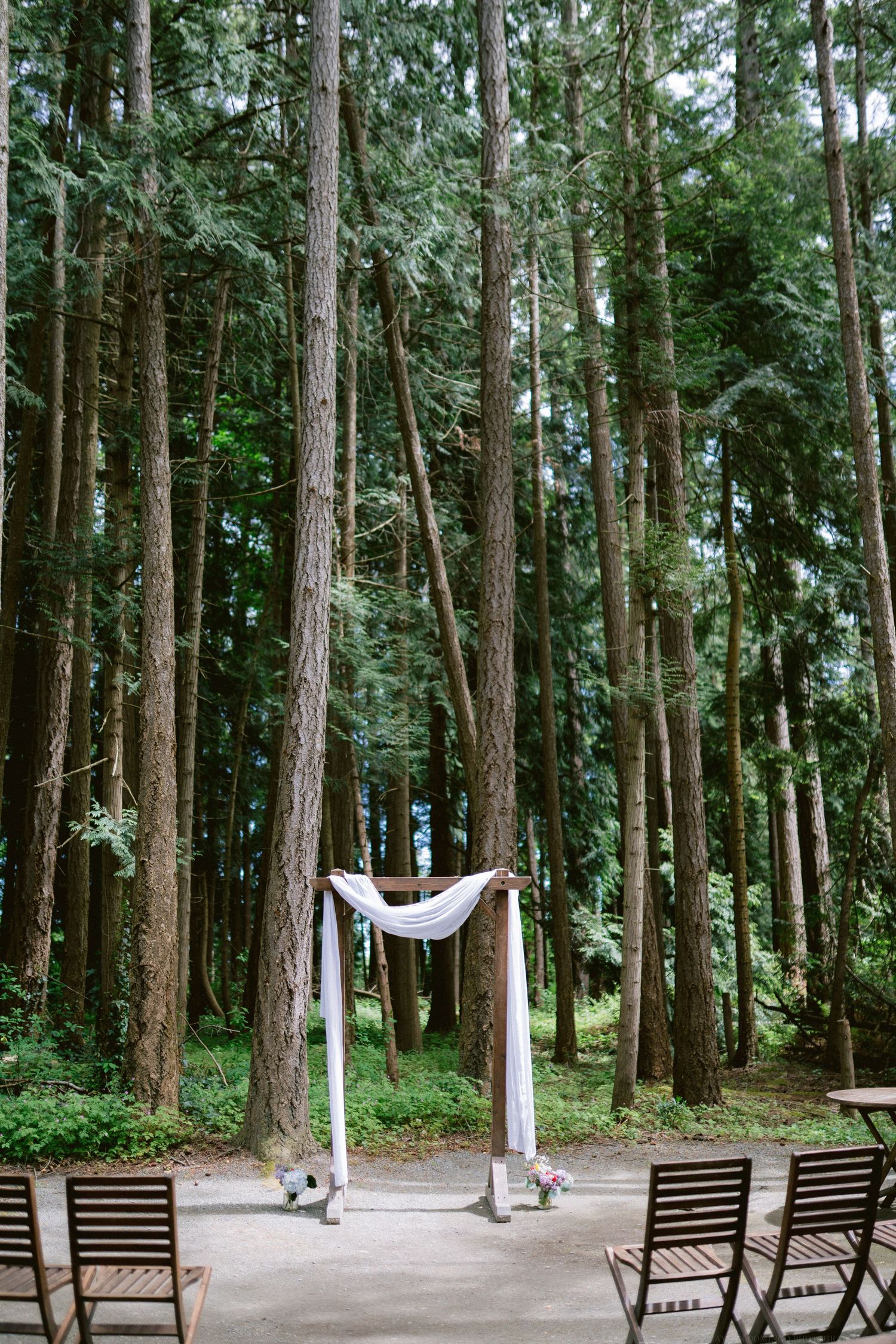 Simple outdoor wedding arch decorated with white fabric stands among tall evergreen trees in a forest setting.