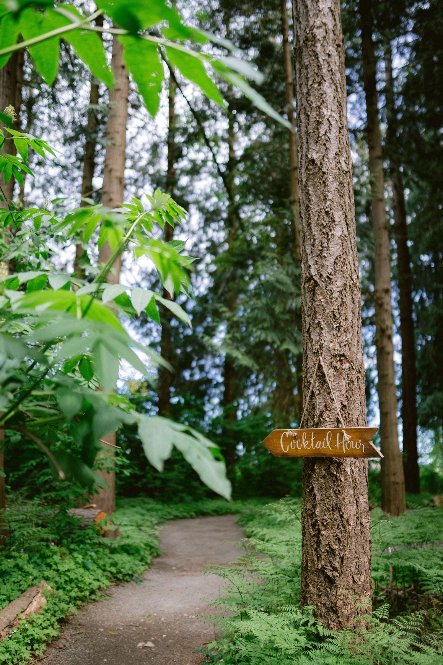 A peaceful forest path with a rustic wooden sign attached to a tree trunk surrounded by lush greenery.