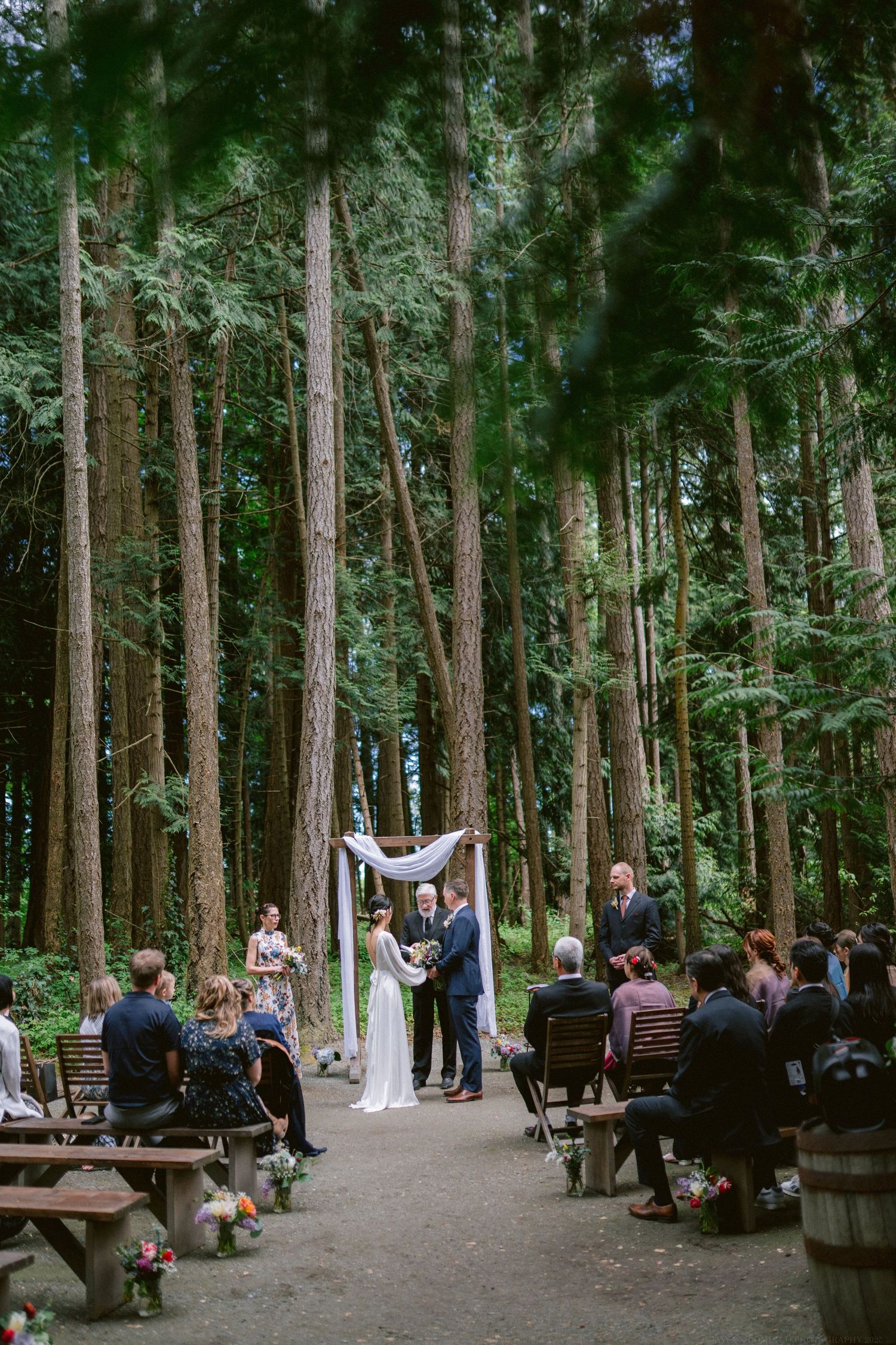 An intimate forest wedding ceremony with guests seated on wooden benches beneath towering evergreen trees.