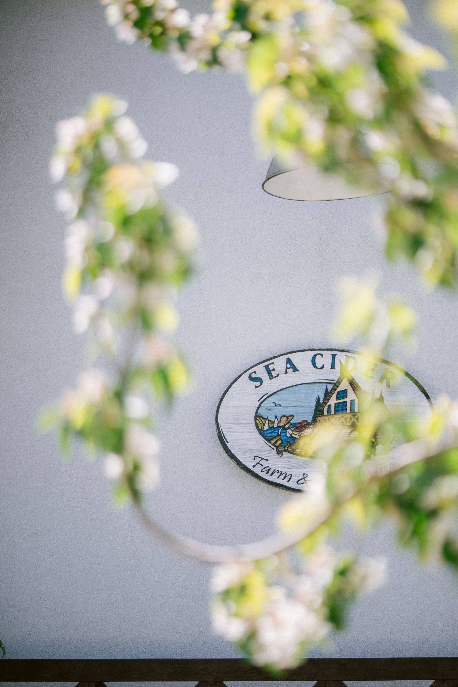 Sea Cliff venue logo framed by delicate spring blossoms against a light background.