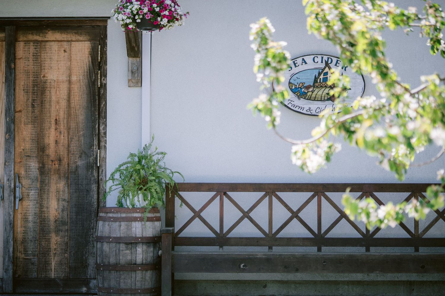 Rustic wooden porch with hanging flower basket and vintage signage on white exterior wall.