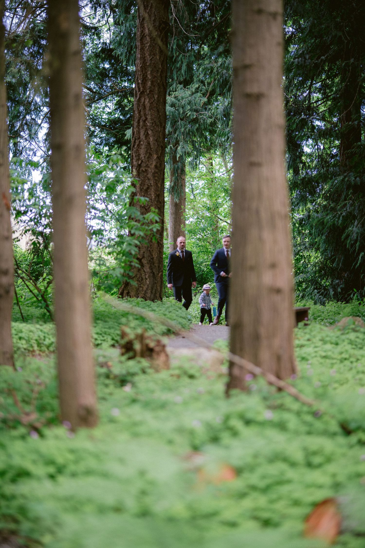 A wooded forest path framed by tall trees with people walking in the distance.