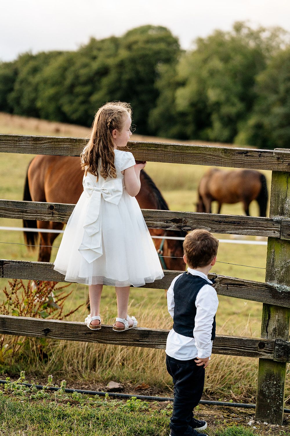 Children in formal attire watch horses through a wooden fence at a countryside pasture during sunset hours.