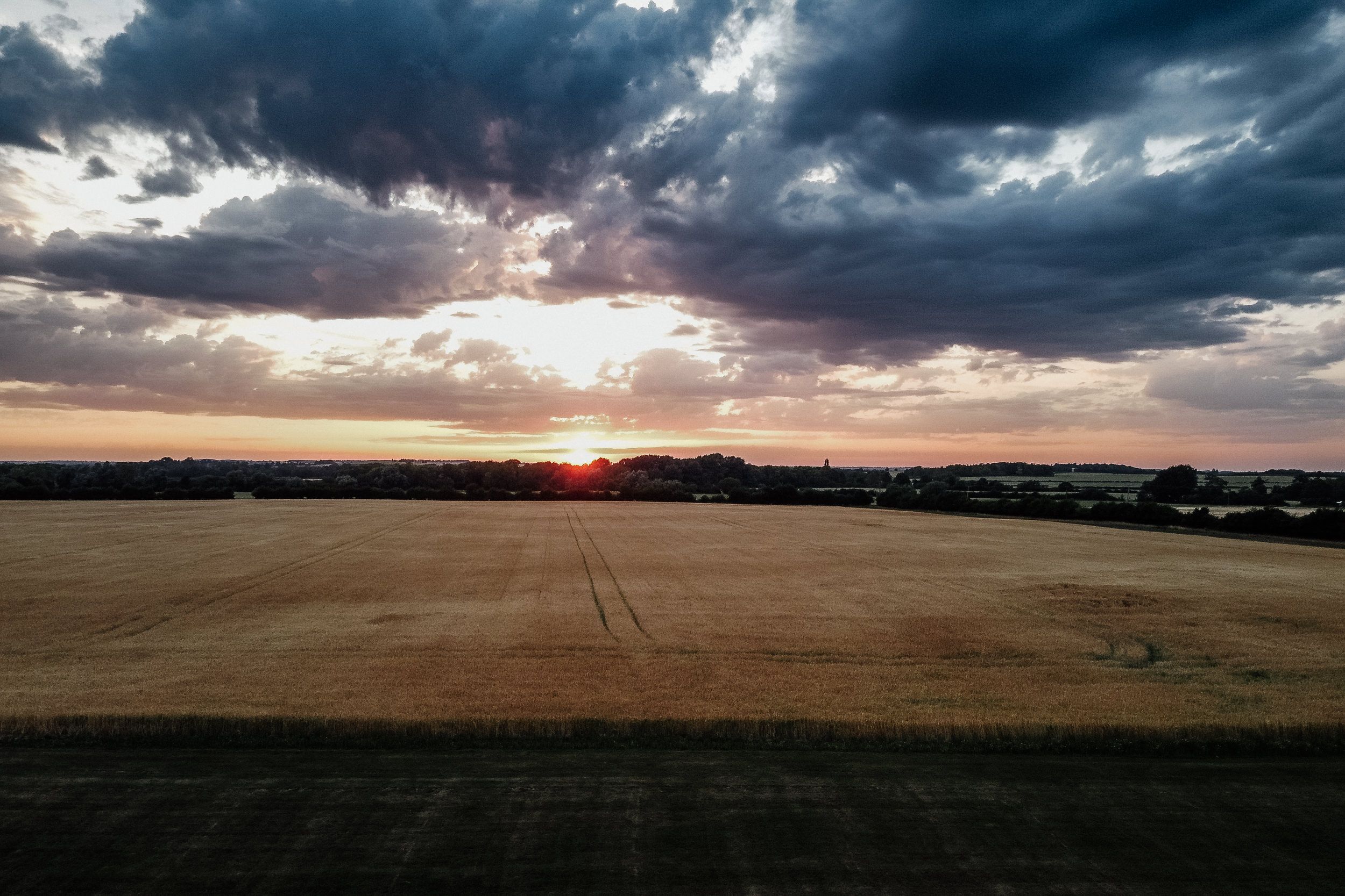 A dramatic panorama of dark storm clouds over a golden wheat field during sunset in Cambridgeshire.