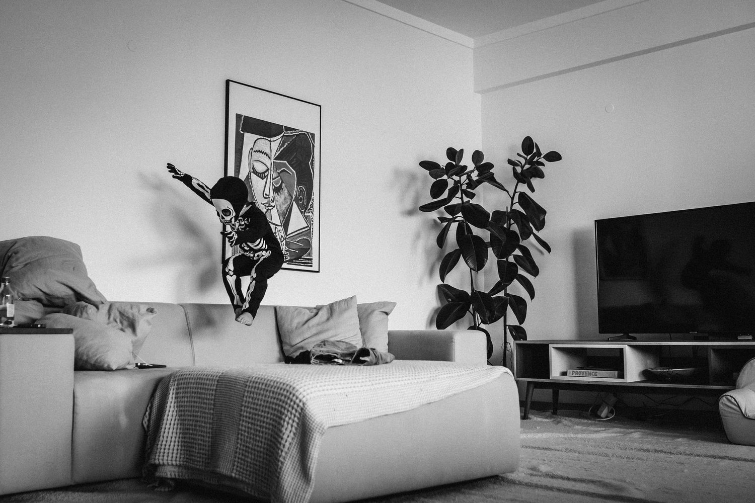 Black and white photo of a modern living room interior with white couch, potted plant, and wall art decor.