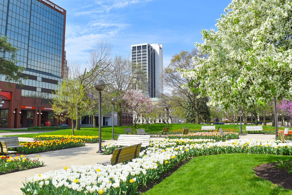Spring garden with blooming tulips and daffodils in front of modern city buildings on a sunny day.