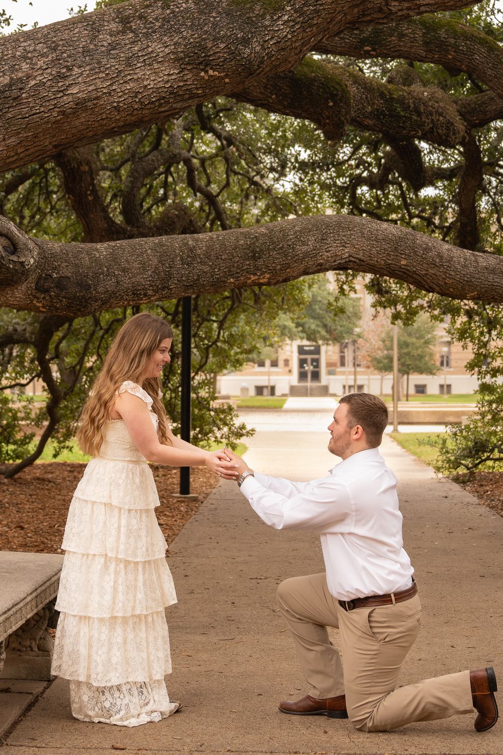 A romantic proposal scene under a large oak tree with a person kneeling in a white shirt.