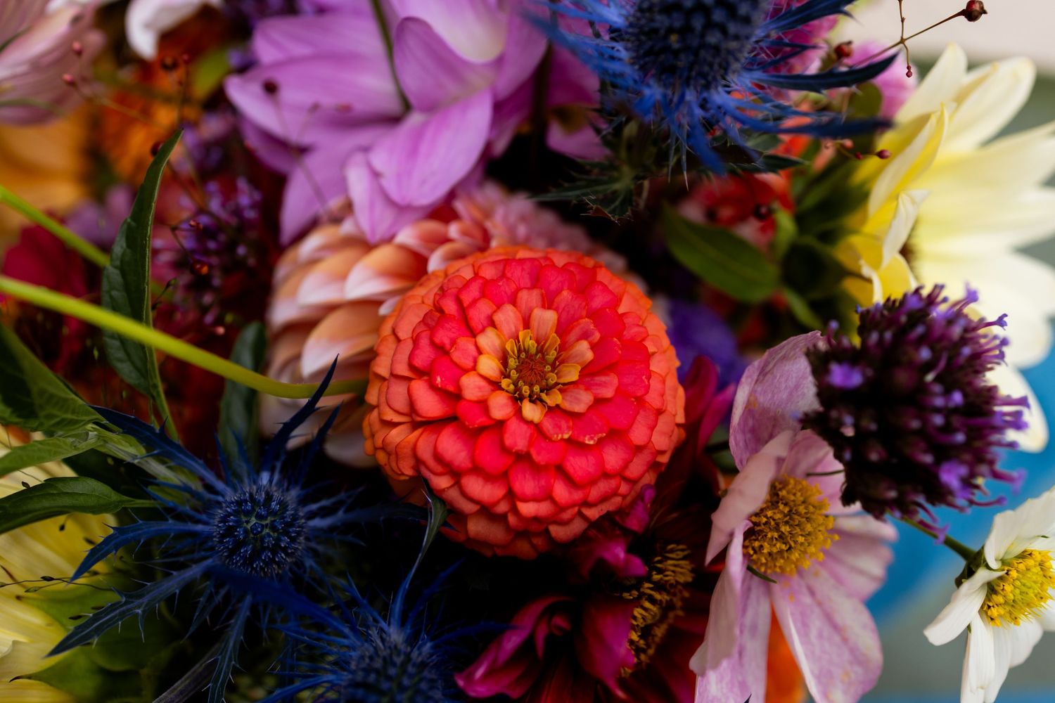 Iridian Flora wedding flowers