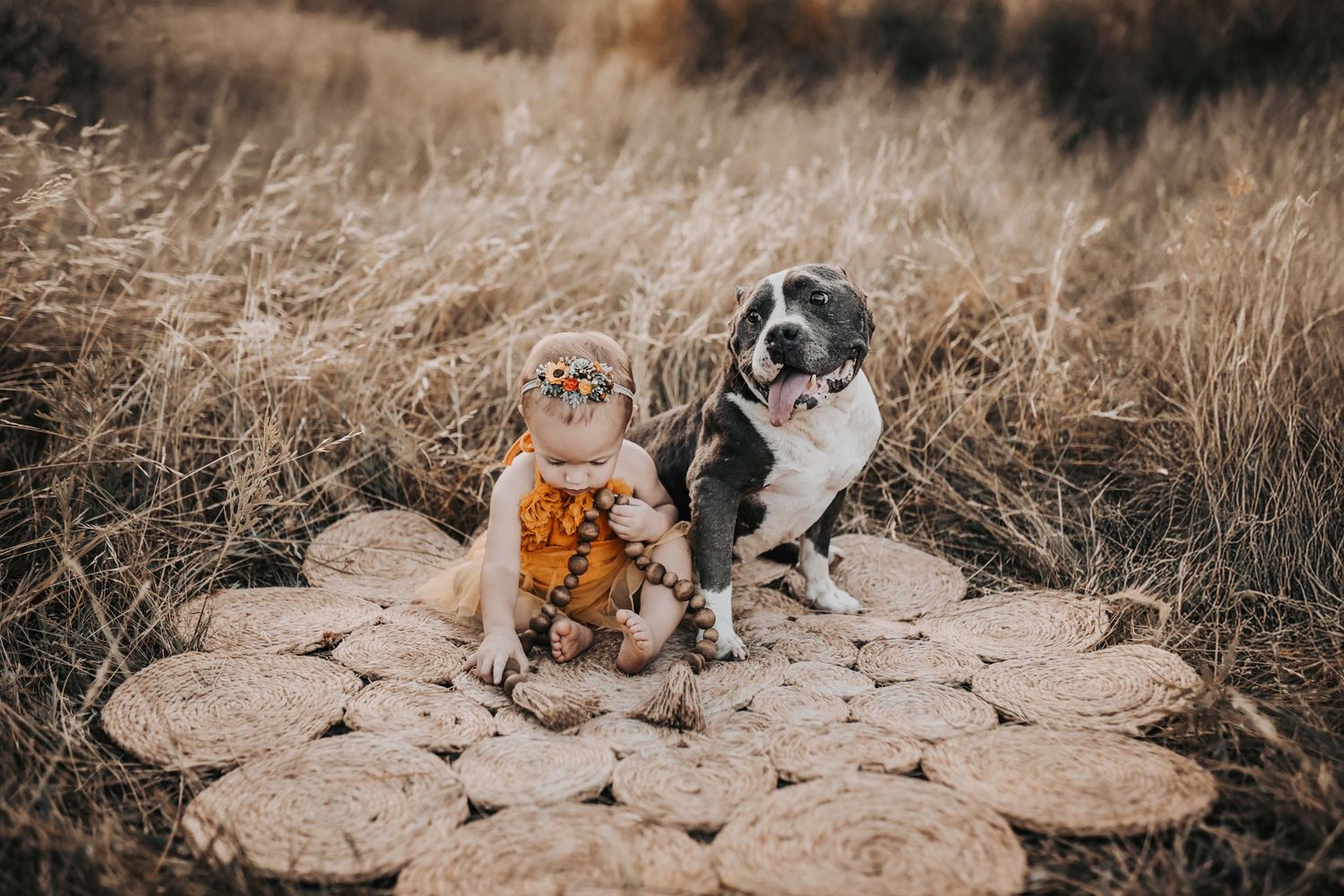 a one year old girl wearing a boho sunflower headband and adorable outfit cuddles with her fur baby for family photos