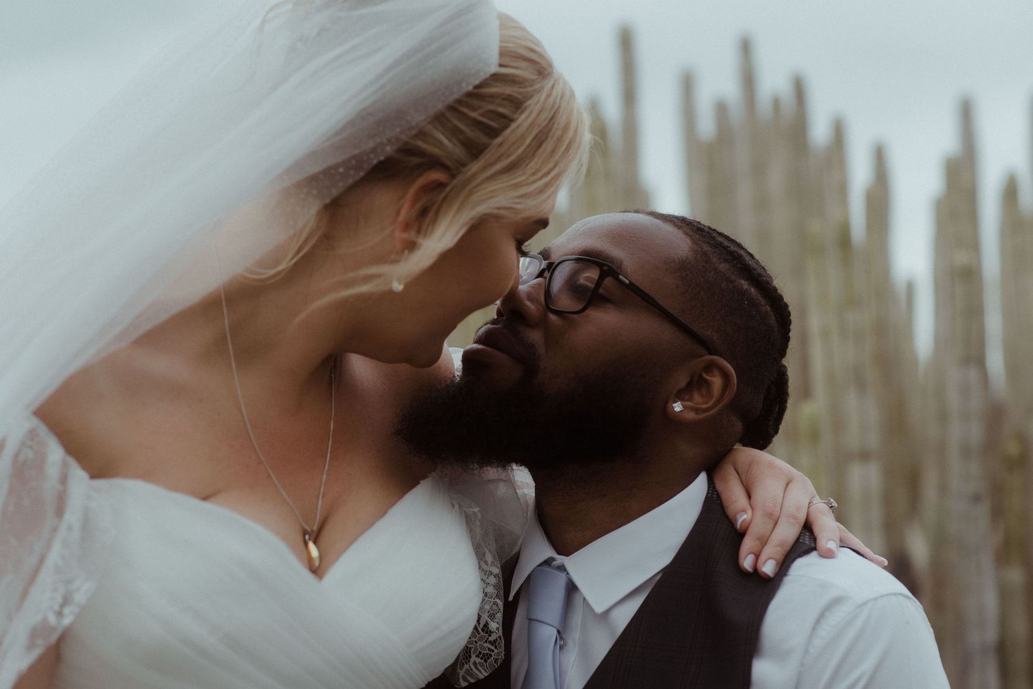 Intimate moment between newlyweds with desert cactus backdrop.