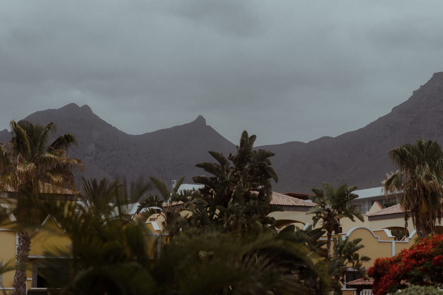 Cloudy mountain landscape with palm trees and residential buildings in the foreground.