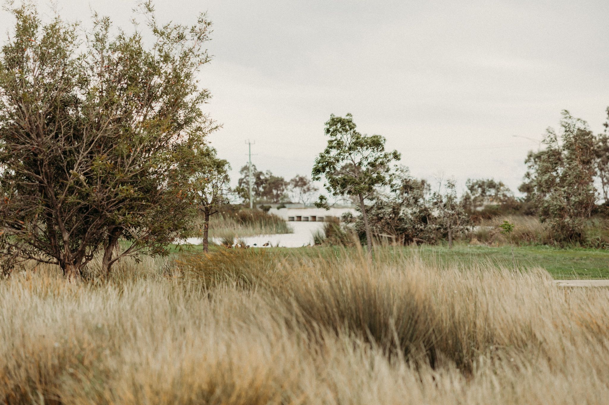 werribee family photographer