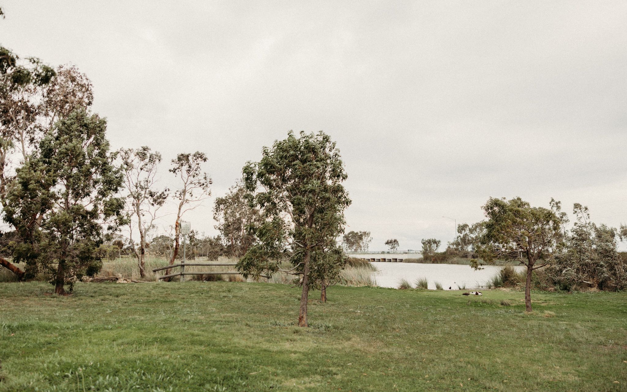 werribee photographer