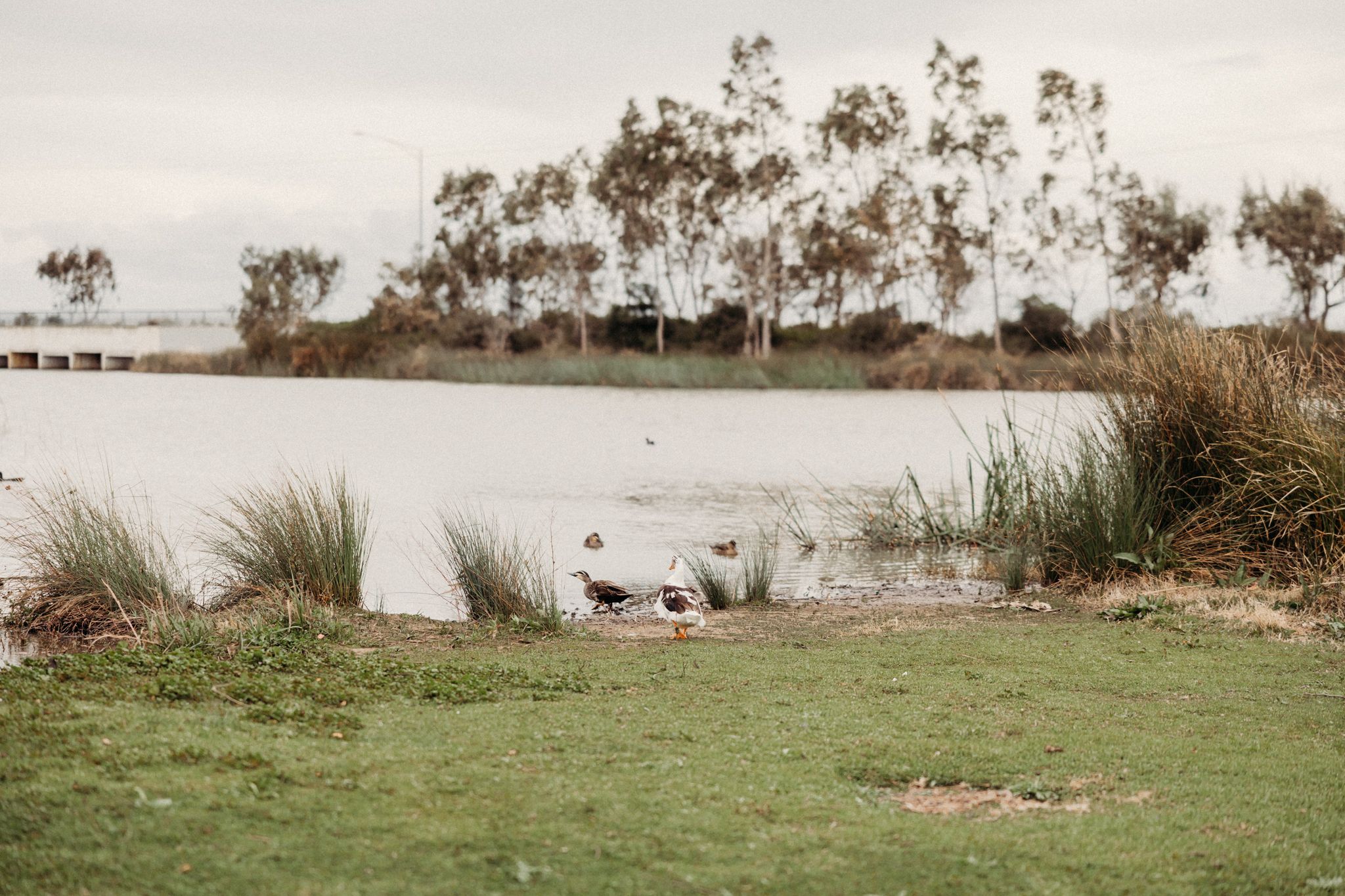 werribee photographer