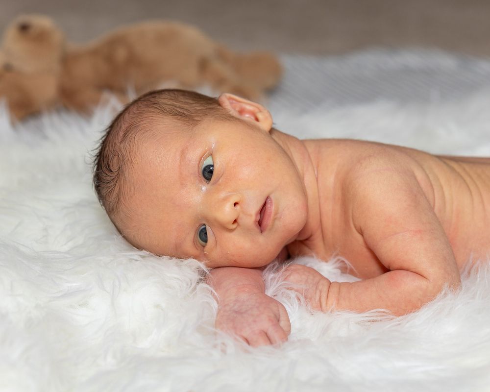 Newborn baby lying on soft white fur with peaceful expression and plush toy in background during a newborn portrait photo shoot in Sudbury,