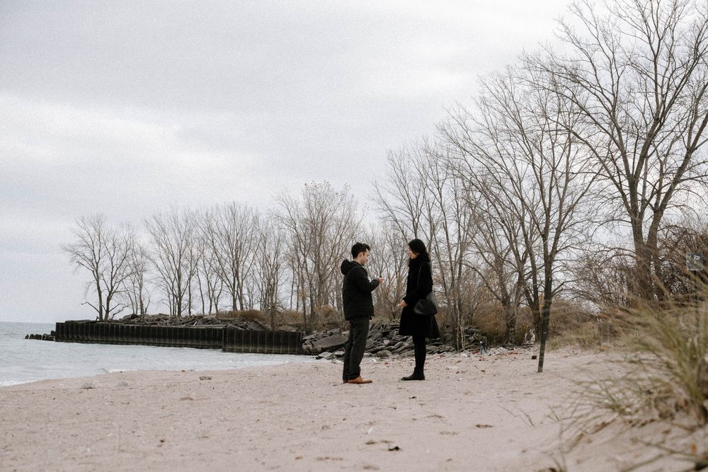 Two silhouettes stand together on a winter beach with bare trees and a cloudy sky in the background.