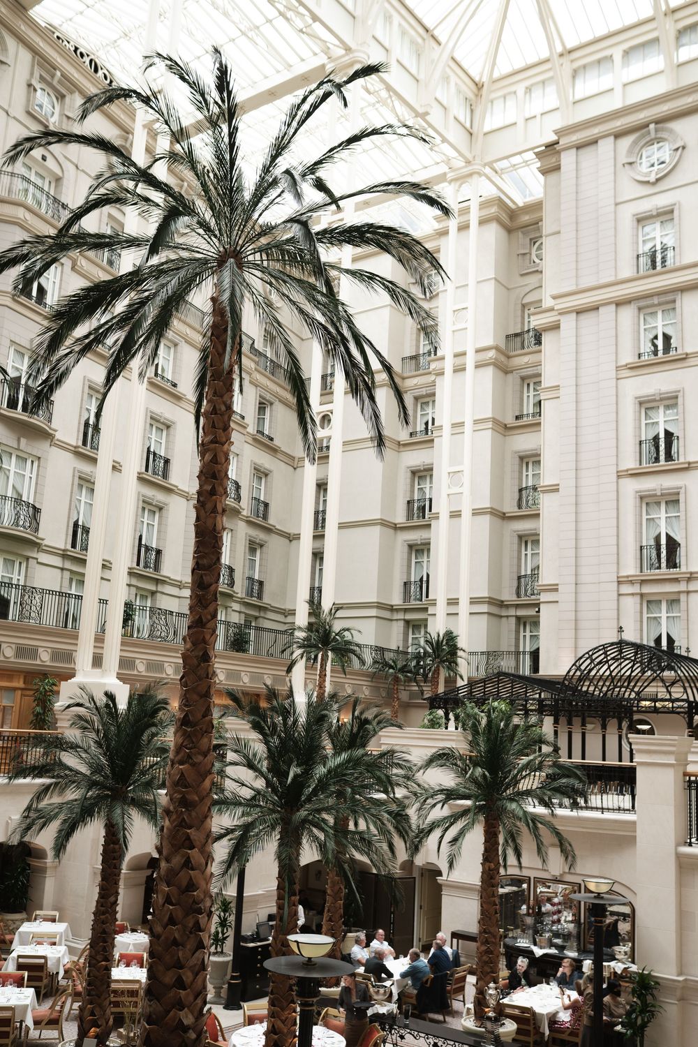 Elegant hotel atrium with tall palm trees and white architecture creates luxurious atmosphere.
