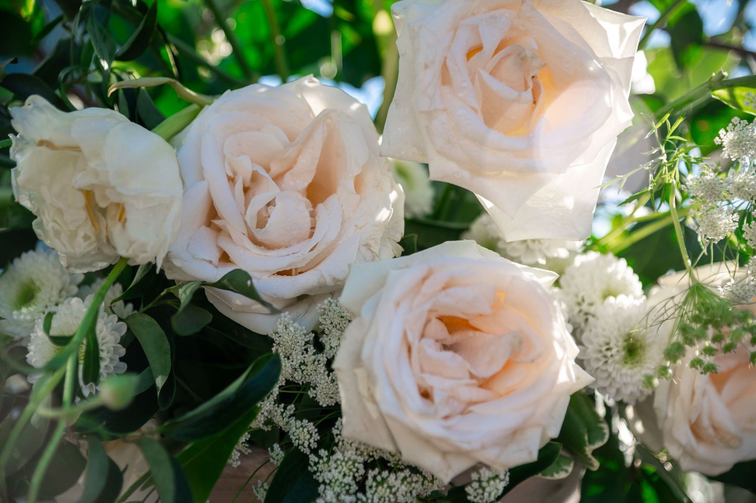 Bride’s modern white gown blowing in the wind, photographed by South Florida wedding photographer