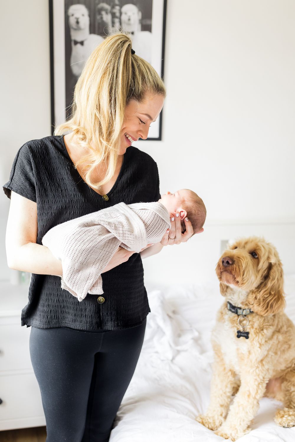 newborn photo session with a dog