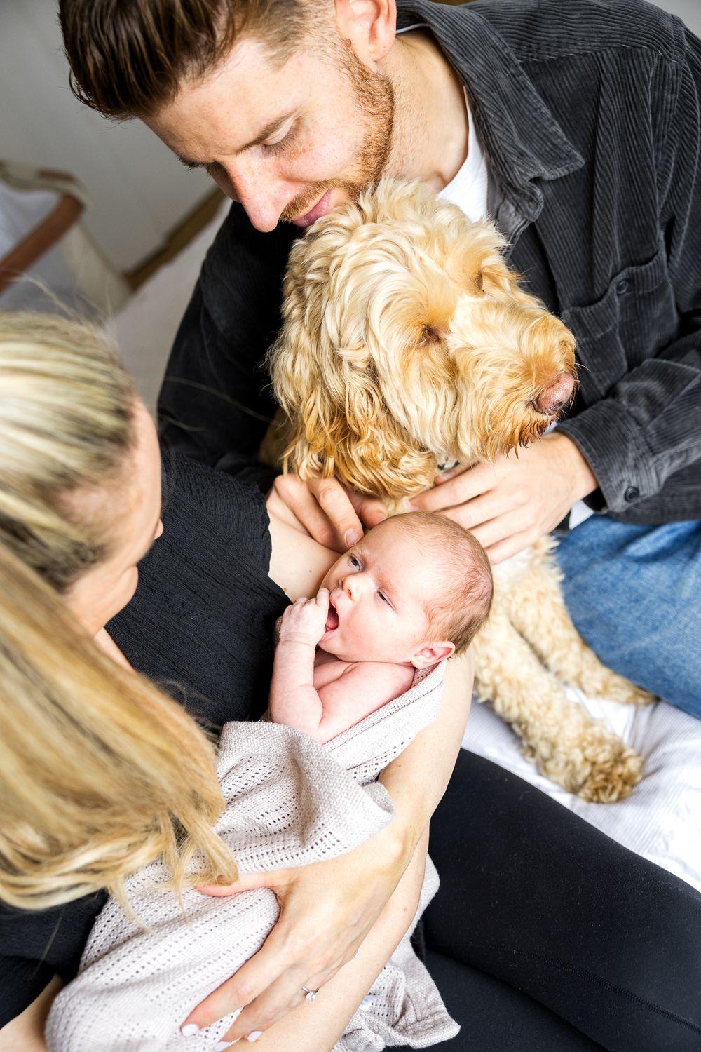 newborn photo shoot with a puppy