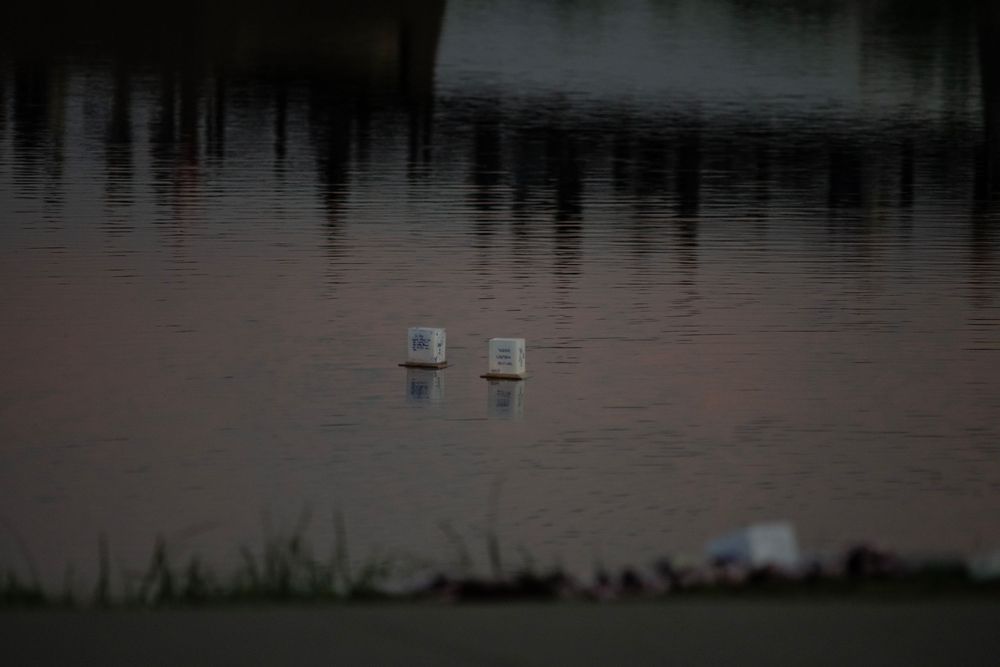 Dark reflections of trees in still water create a moody and atmospheric scene at dusk.