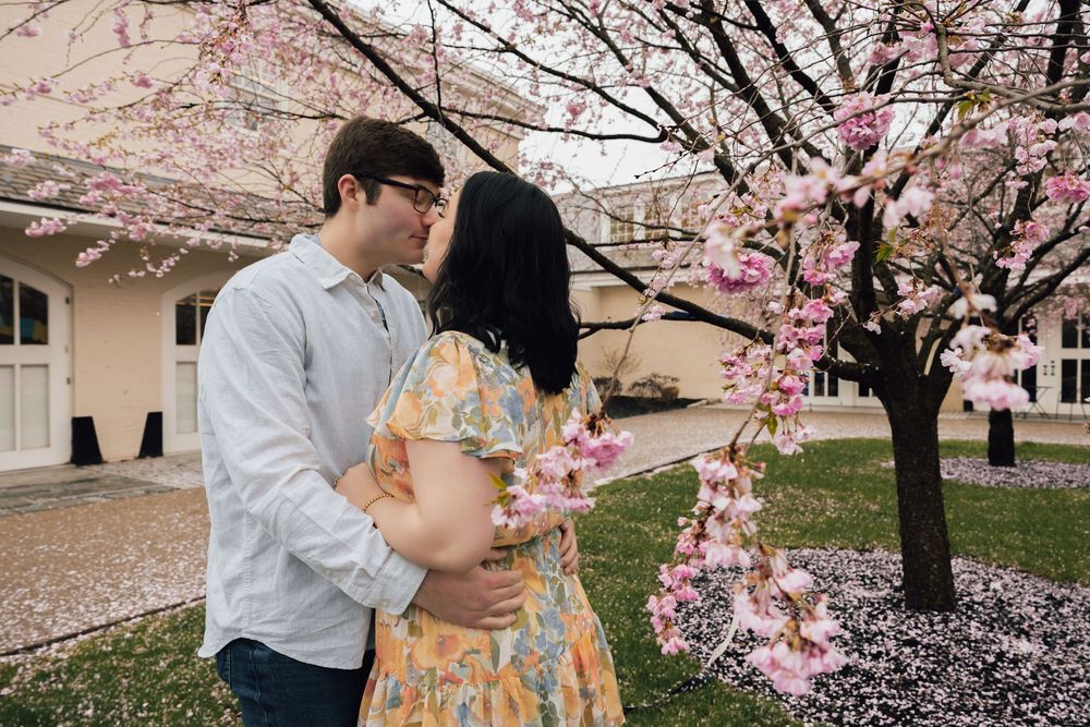 A couple embraces under blooming cherry blossom trees during springtime outside a building.