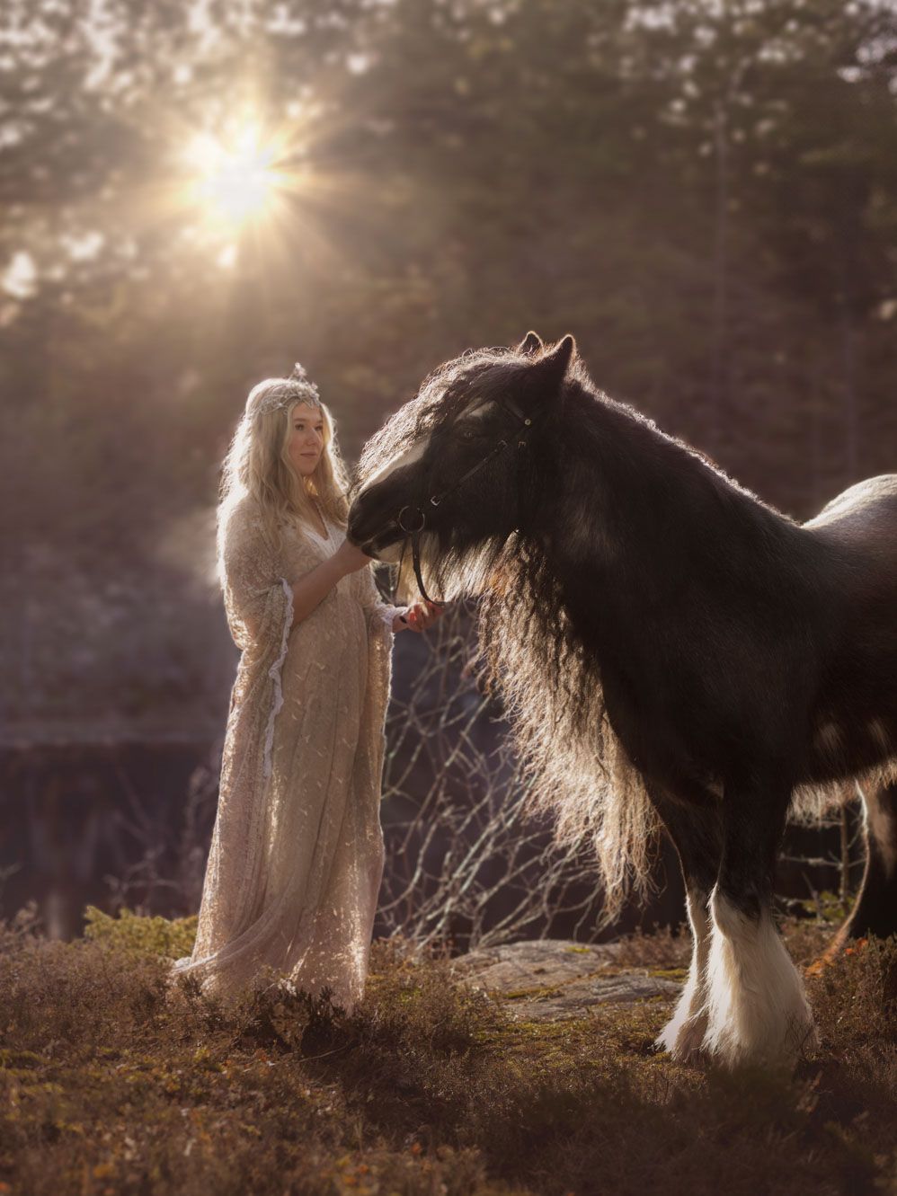 Ethereal scene of a Clydesdale horse and figure in white dress backlit by golden sunlight in a forest.