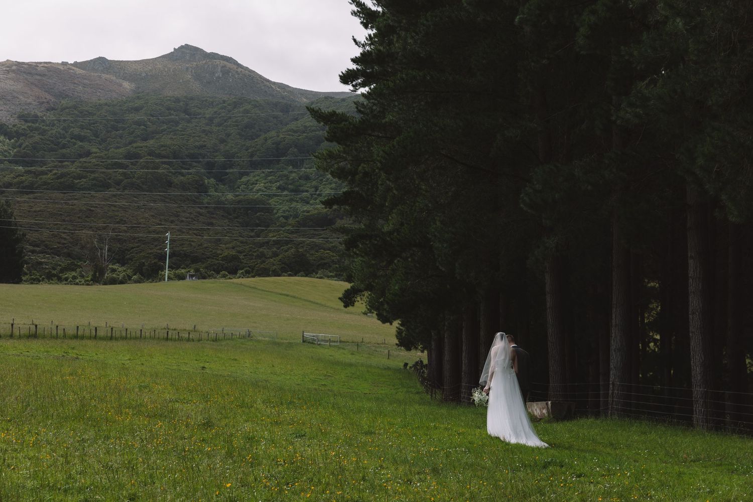 Wedding dress against forest edge with mountains and green field in background.