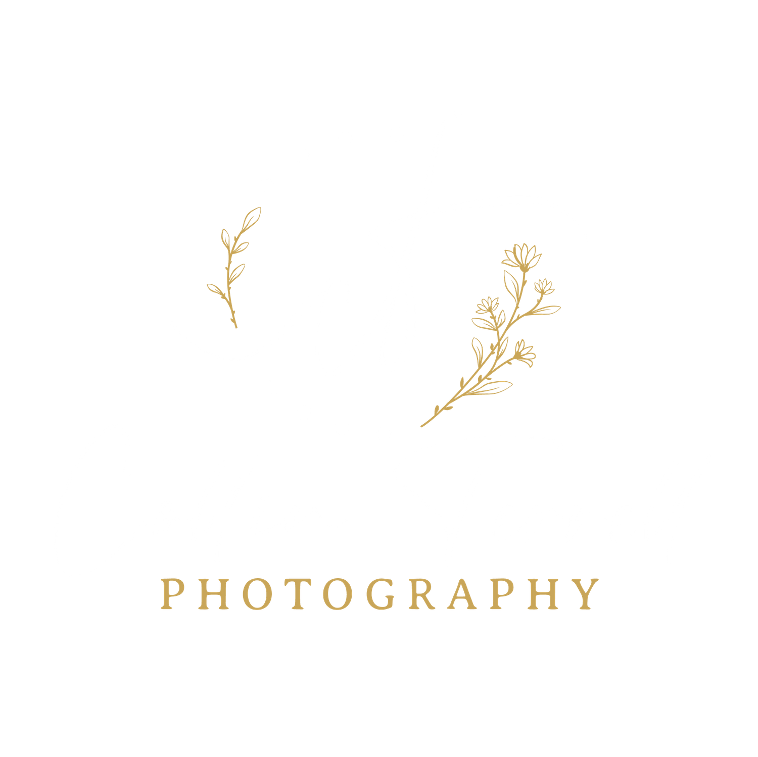 Minimalist gold floral branch design for photography branding on white background.