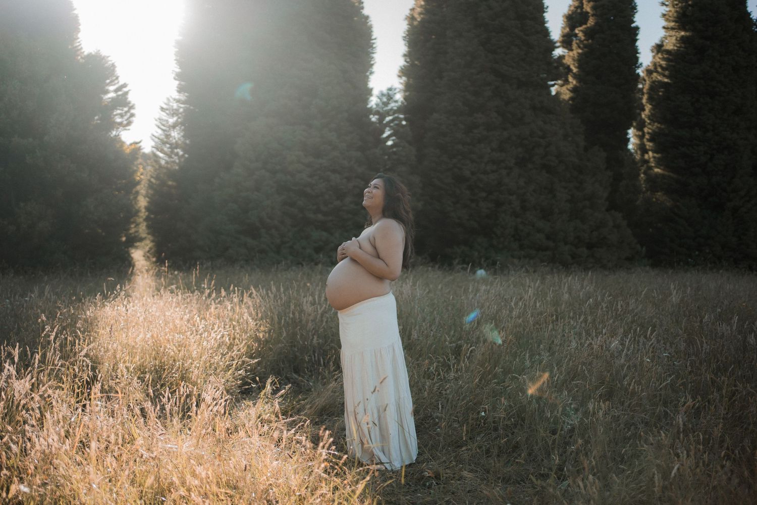 Silhouette of pregnant figure standing in golden sunlit meadow with evergreen trees in background at sunset.