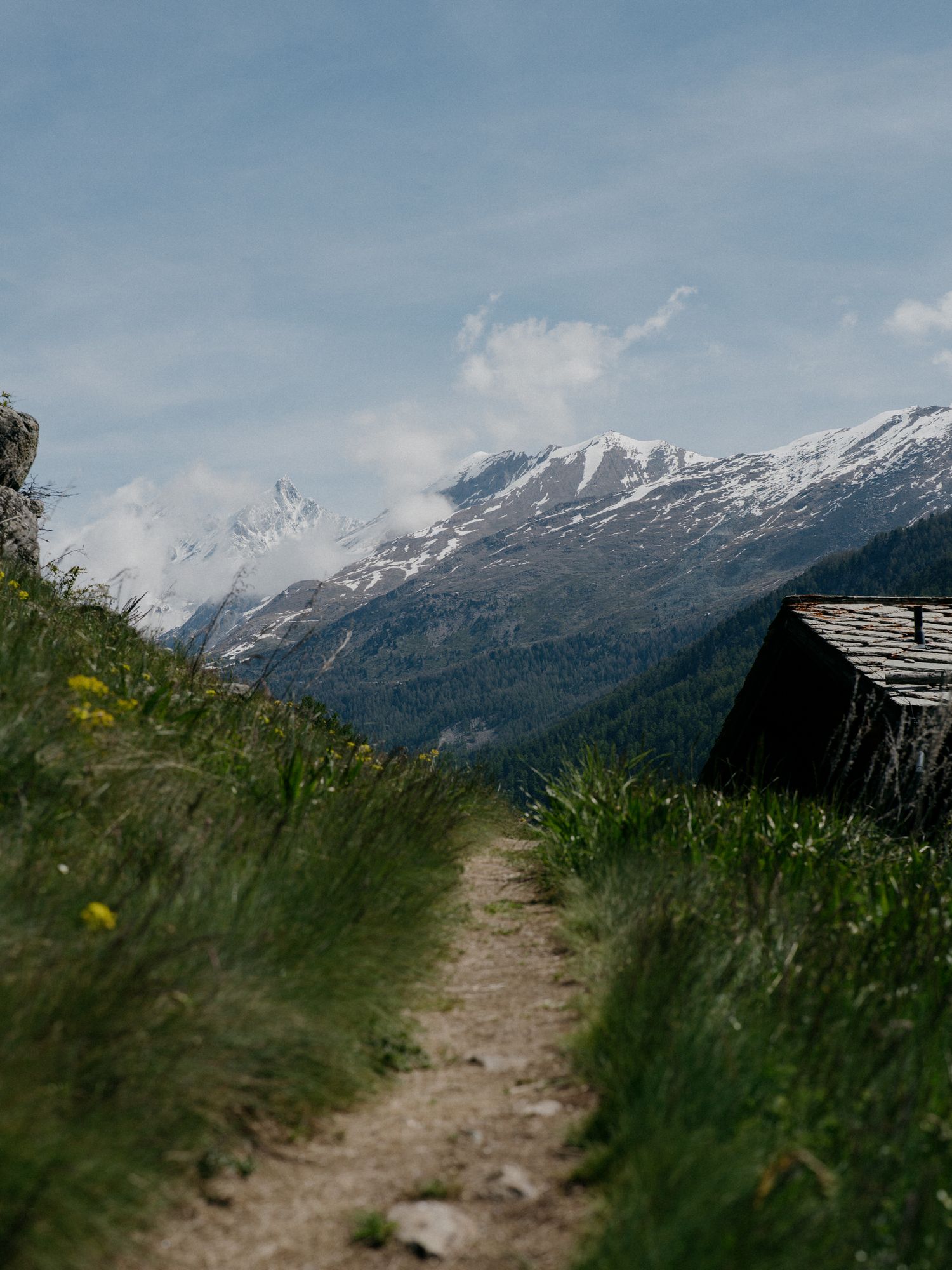 A dirt hiking trail winds through alpine meadow with snow-capped mountains and rustic cabin in the background.