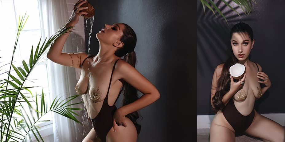 Three artistic boudoir photos showing model in dark lingerie against minimalist setting with palm plant and curtains.
