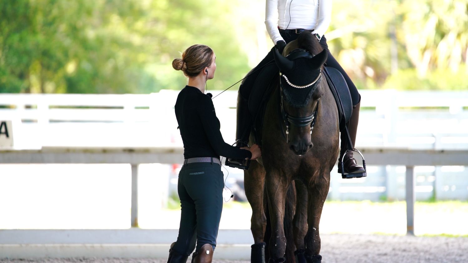 An equestrian stands next to a dark brown horse at a dressage arena with white fencing.
