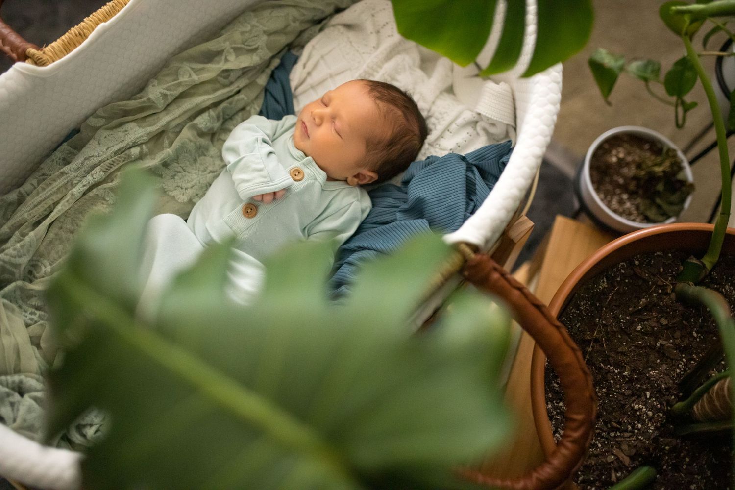 newborn photographer near me virginia