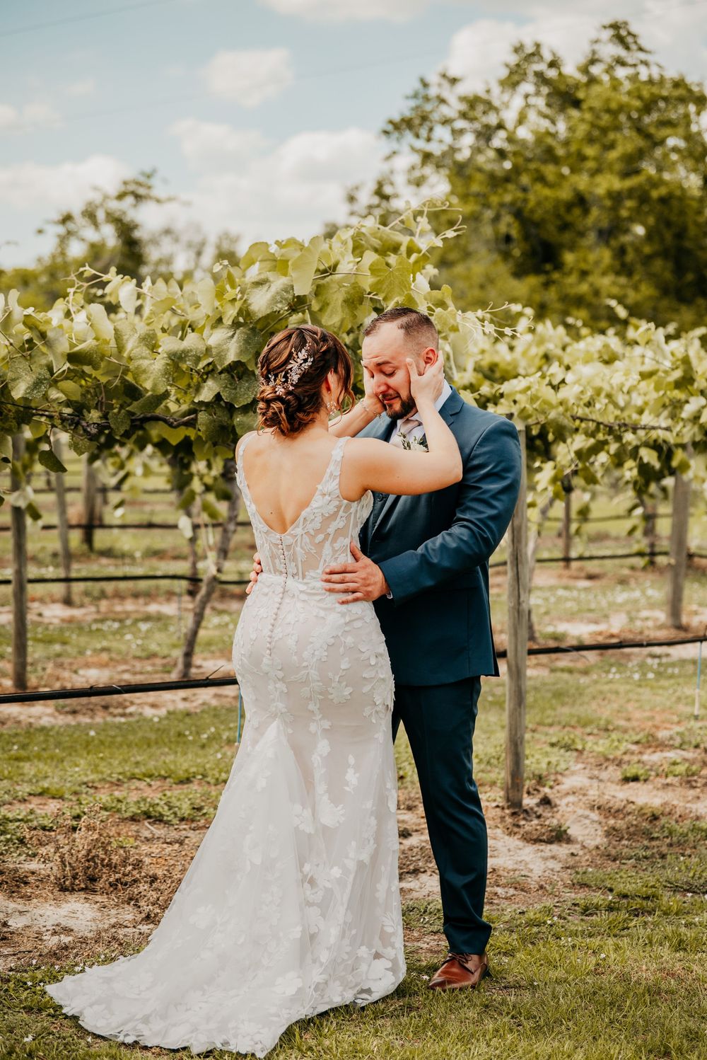 Wedding couple embraces in romantic moment between rows of grape vines on their special day.