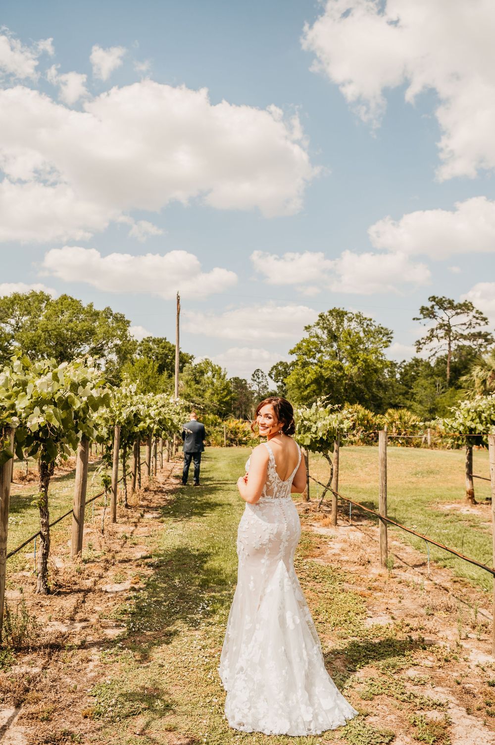 A wedding dress glows in the sunlight as a couple walks through rows of grapevines at a rustic vineyard.